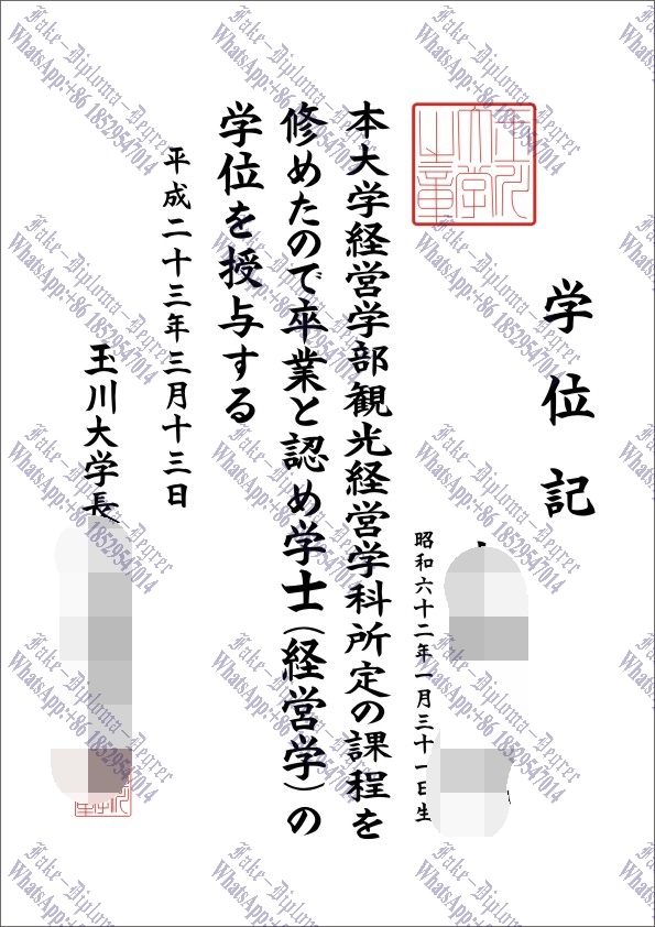 Buy fake Tamagawa University Diploma