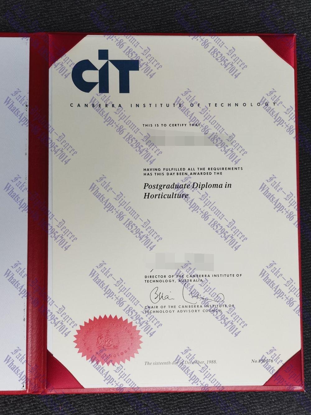 Copy Fake Canberra Institute of Technology Diploma