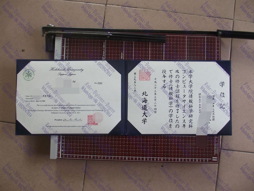 Copy Fake Hokkaido University Diploma