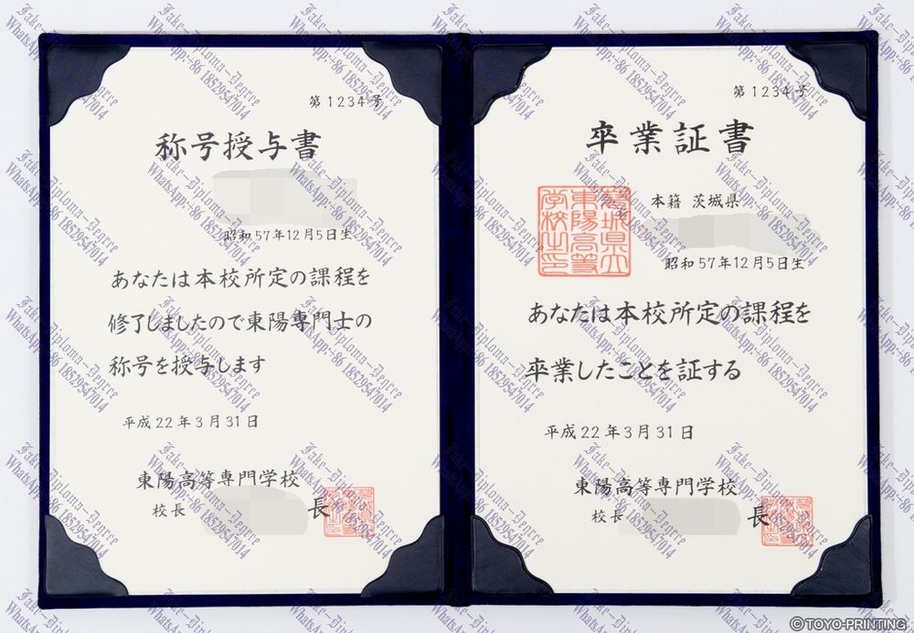 Copy Fake Japan Toyo Higher Technical College Degree