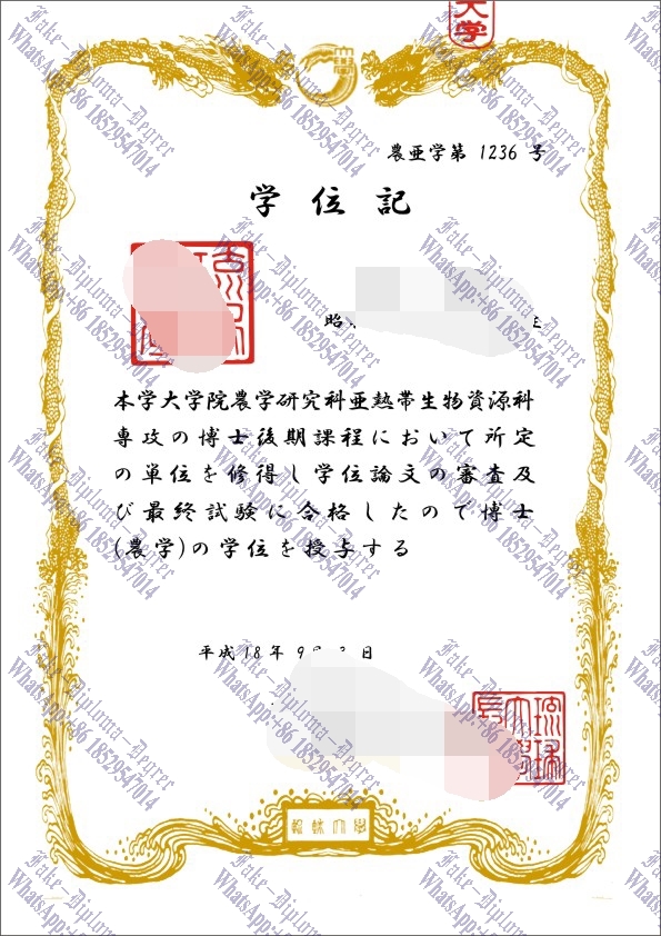 Copy Fake University of the Ryukyus Degree