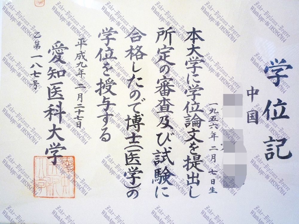 Fake Aichi Medical University Diploma