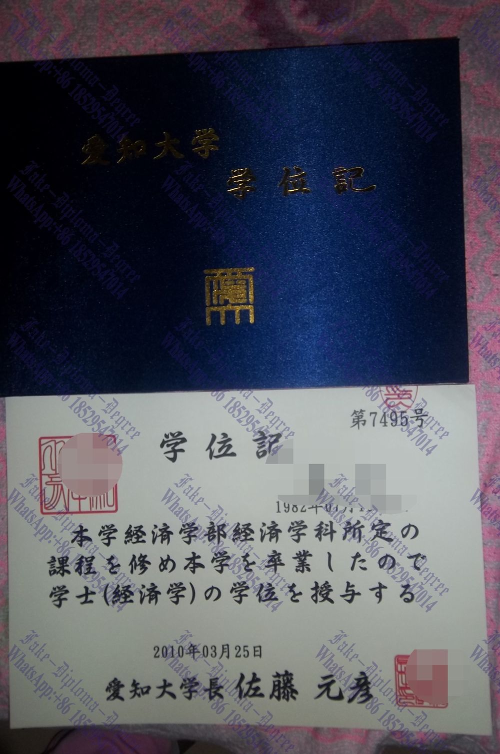 Fake Aichi University Degree