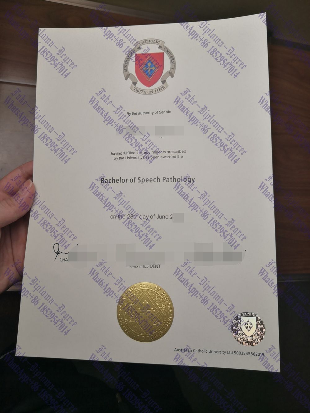 Fake Australian Catholic University (ACU) Diploma