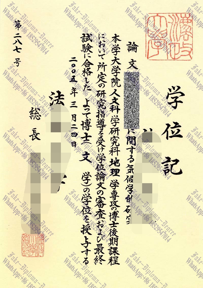 Fake Hosei University Diploma