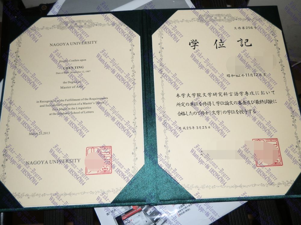 Fake Nagoya University Diploma