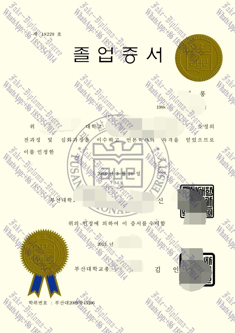 Fake Pusan National University Degree