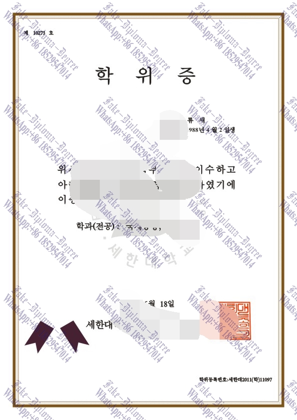 Fake Sehan University Diploma