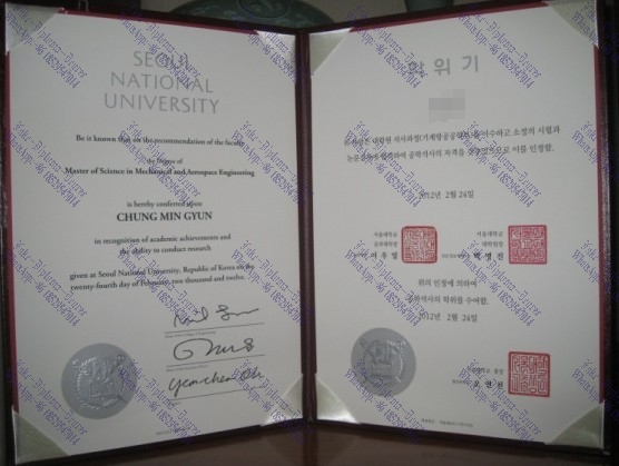 Fake Seoul National University (2) Diploma