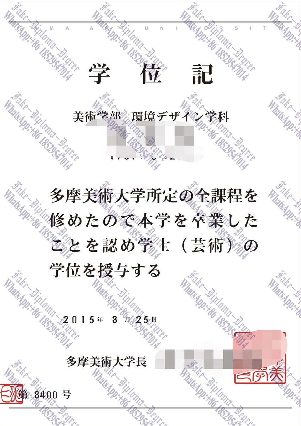 Fake Tama Art University Library Diploma