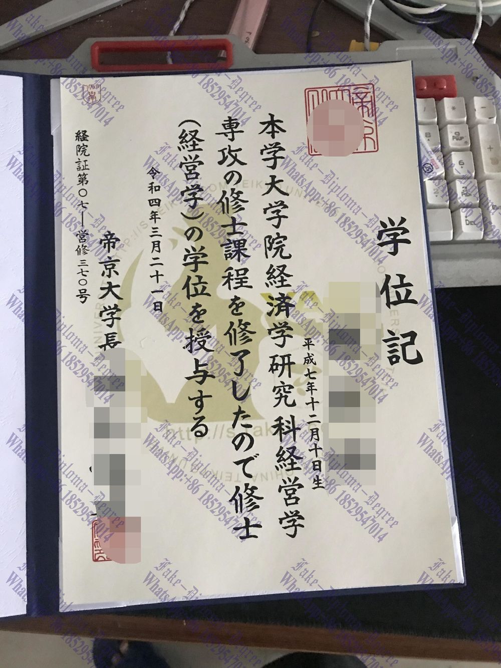 Fake Teikyo University Diploma