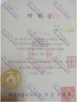 Fake The Catholic University of Busan Diploma