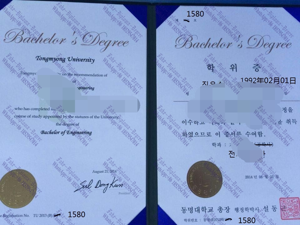 Fake Tongmyong University (TU) Diploma