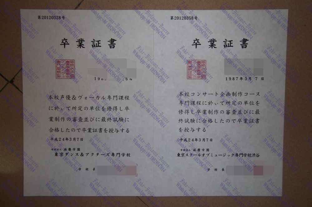 How to create fake Tokyo Dance Haiyu Butaigeijutsusenmon School Diploma