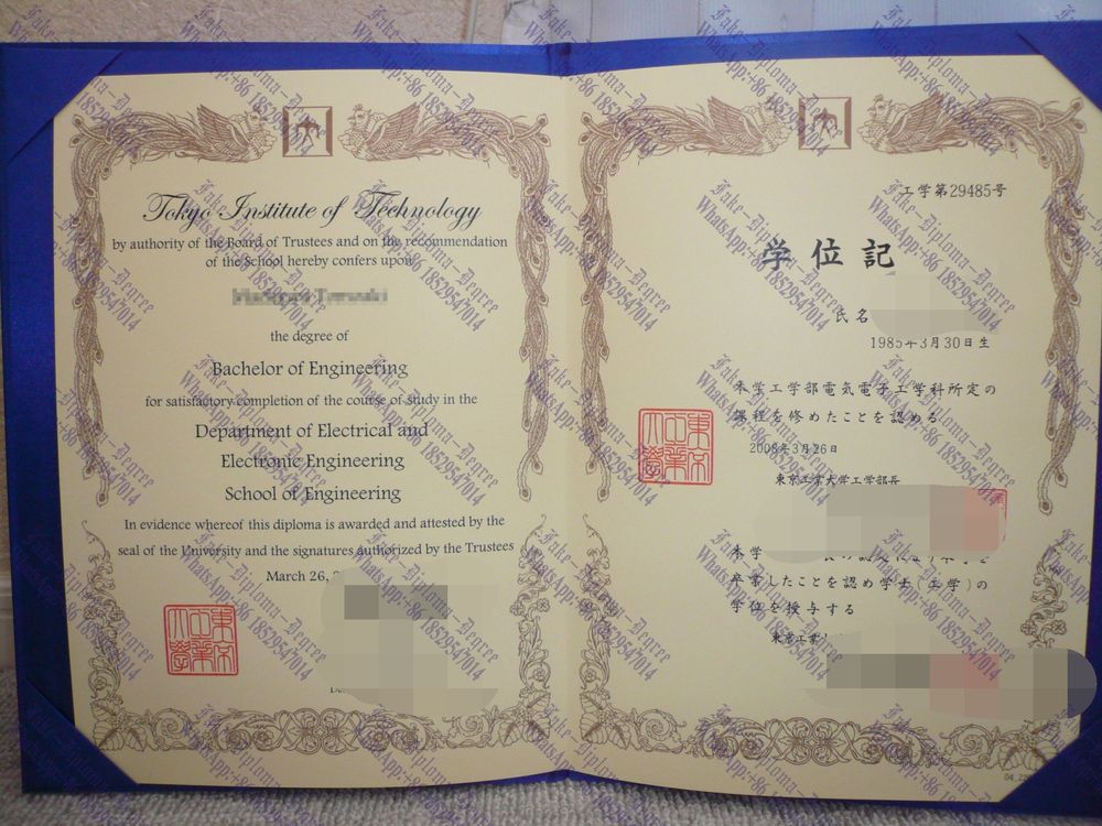 How to create fake Tokyo Institute of Technology Diploma