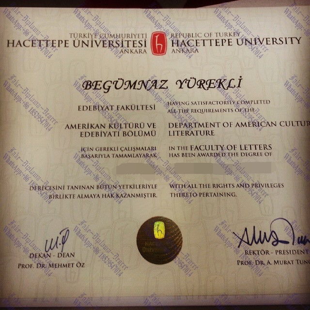 How to order fake Hacettepe University Degree