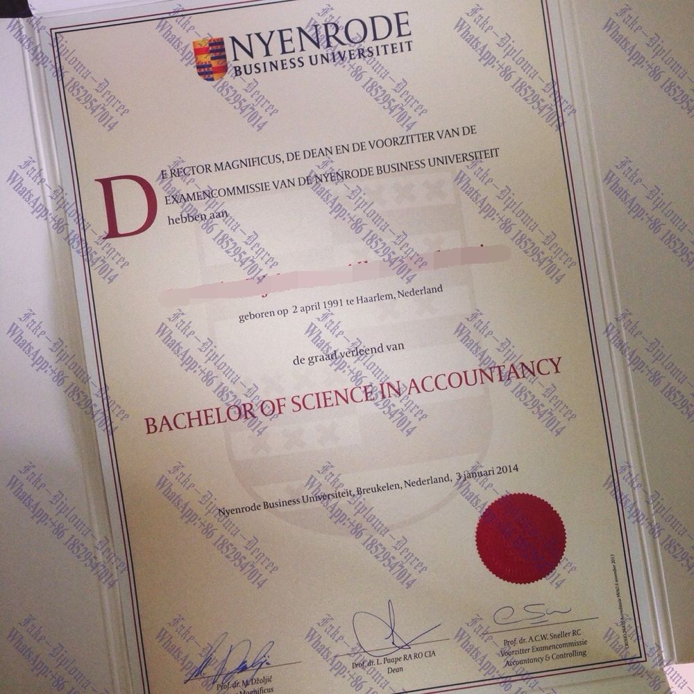 Is it possible to buy fake Nyenrode Business University Degree