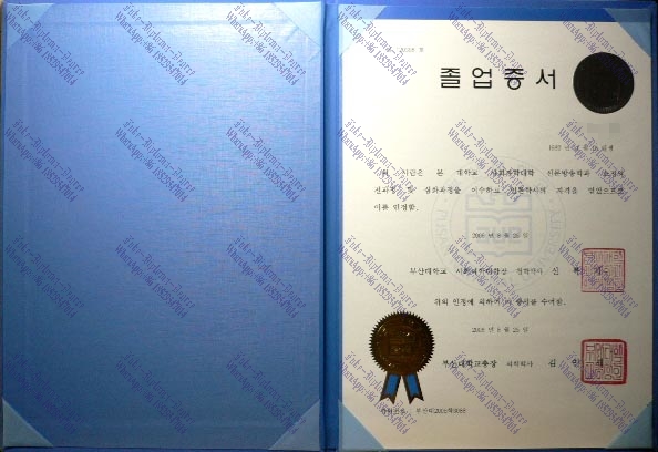 Purchase phony Pusan National University 1 Diploma